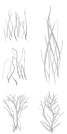 BD_M_1810_fur_a_l (2).png